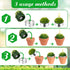 18 Treela Pcs Succulent Cactus Tealight Candles Handmade Tea Lights Baby Shower Plant Candle Gift with Mini Terracotta