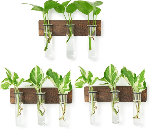 XXXFLOWER Wall Mounted Plant Terrarium with Wooden Stand 3 PCS Hanging Planter