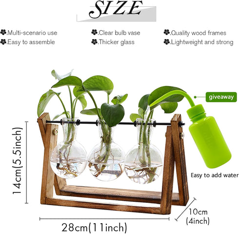 Bulb 3 Bulb XXXFLOWER Plant Terrarium with Wooden Stand, Air Planter Glass Vase Metal Swivel Holder Retro Tabletop
