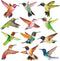 Anti-Collision Window Clings Bird Alert Decals to Prevent Bird Strikes on Glass - Set of 12 Hummingbirds