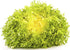 SeedsUA Seeds Endive Lettuce Yellow Heart Curly Frisee Chicory for Salad Vegetable Garden Heirloom for Planting Non GMO