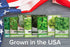 8 Packets Gardeners Basics, Leafy Garden Greens Seeds for Planting Individual - Arugula, Collards, Spinach, Swiss
