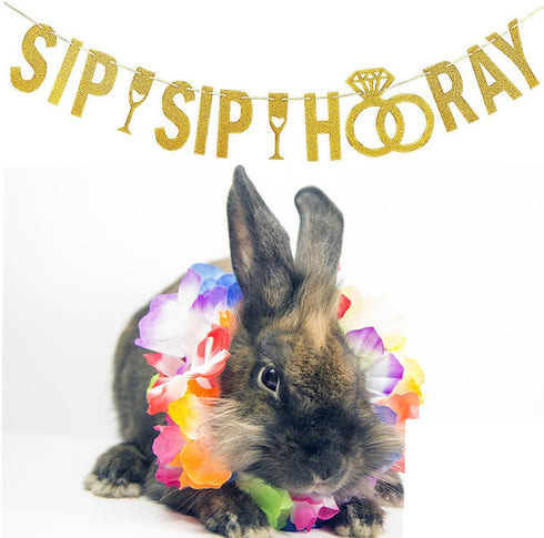 Gold Glitter Sip Sip Hooray Banner, Engagement Party Banner, Bachelorette Party Decorations for Sip Sip Hooray Party