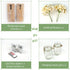 Set Besuerte Mason Jar Wall Sconces of Two, Wall Deco Cute Wall Decor with LED Fairy Lights, Art for Living Room Modern