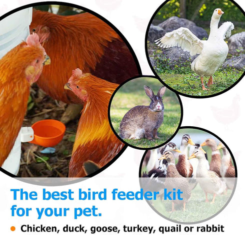 (5 Pack-Orange) Large Automatic Chicken Waterer Cups with Inserts, Chicken Water Feeder Suitable for Chicks, Duck