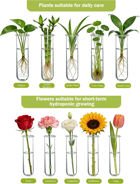 21 3 XXXFLOWER Wall Hanging Propagation Station with Wooden Stand Glass Test Tubes Tiers Planters Wall Terrarium