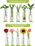 5 3 XXXFLOWER Wall Hanging Propagation Station with Wooden Stand Glass Test Tubes Tiered Planters Wall Terrarium