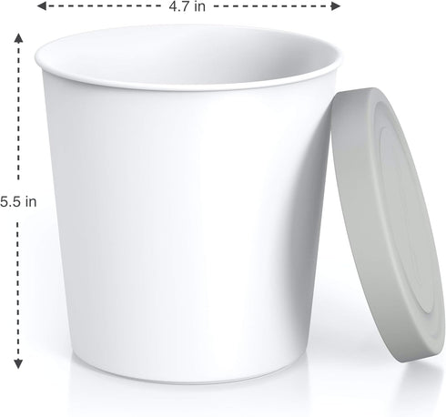 BALCI Premium Ice Cream Containers (2 Pack - 1 Quart Each), Freezer Storage Tubs with Lids for Ice Cream, Sorbet,