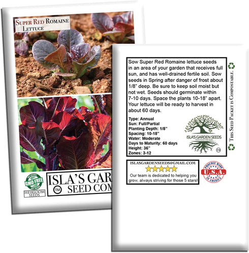 1,000+ Super Red Romaine Lettuce Seeds (Lactuca sativa) Non-GMO Heirloom Seeds by Islas Garden Seeds, Vibrant Red