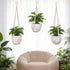 3 Pack 3 35"/29"/23" YIBOT Macrame Plant Hanger Indoor Hanging Planter for Plants Holder with Hooks, Size No Tassels