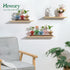 Set 5 Glass Propagation Station for Plant: Mushroom Planter with Wooden Stand for Home Office Decor - Unique
