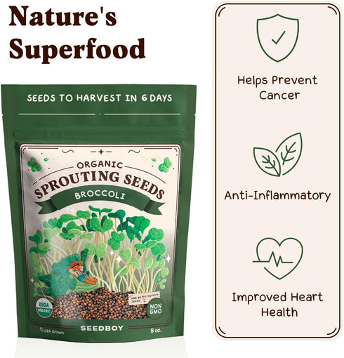 8 oz 8 32 Seedboy Organic Non-GMO Broccoli Seeds for Sprouting - USA Grown Microgreens Sprouting Seeds - Bag Makes