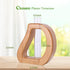 Plant Propagation Stations Wall Hanging Terrariums Home Decor Plants Glass Test Tube Planter with Wooden Stand