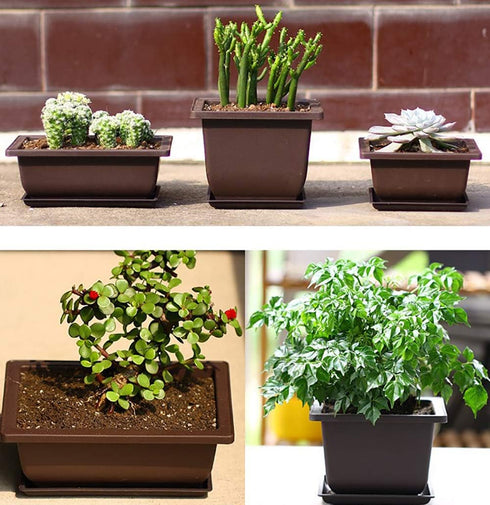 Yesland 6 Pack Bonsai Training Pots - 9 Inches Classic Deep Humidity Trays with Built-in Mesh for Bonsai Plants
