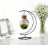 YY YEARCHY Ornament Display Stand Metal Stand Terrarium Air Plant Stand Flower Pot Holder Iron Pothook Stand