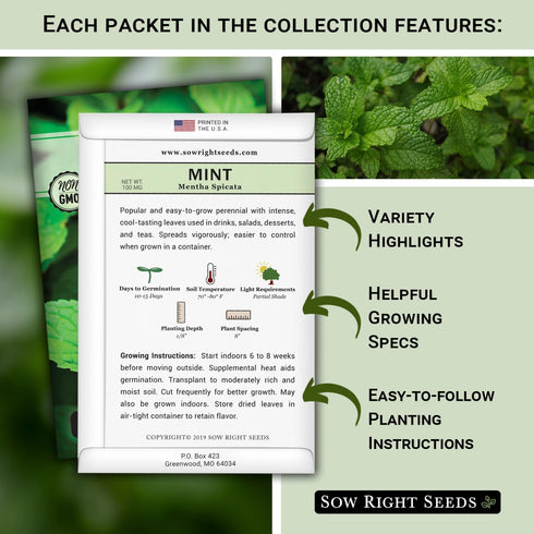 5 Packets Sow Right Seeds - Most Popular Herb Seed Collection for Planting - Mint, Lavender, Sweet Basil, Cilantro