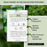 5 Packets Sow Right Seeds - Most Popular Herb Seed Collection for Planting - Mint, Lavender, Sweet Basil, Cilantro