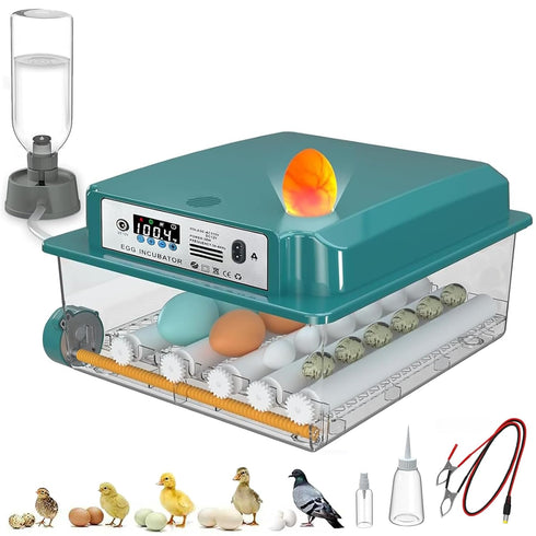 CoInceptus 16 Eggs Incubators for Hatching Eggs, Egg Incubator with Automatic Egg