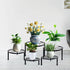 HENABLE 5 Packs Metal Plant Stand Indoor, Outdoor Black Plant Stand for Multiple Plant, Rustproof Iron Round Heavy Duty