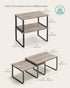 Set 4 Counter UKCS021X02 SONGMICS Cabinet Organizer Shelf, of Kitchen Shelves, Kitchen Storage, Spice Rack, Stackable