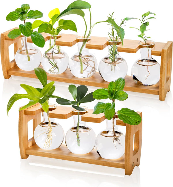 Pumtus 2 Pack Propagation Stations with Bamboo Stand, 8 Bulbs Desktop Water