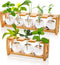 Pumtus 2 Pack Propagation Stations with Bamboo Stand, 8 Bulbs Desktop Water
