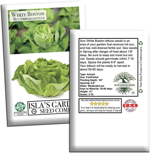1000+ White Boston Butterhead Lettuce Seeds (Lactuca Sativa) Heirloom Non-GMO Seeds by Islas Garden Seeds, Tender