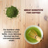 BambooWorx Matcha Whisk Set - Traditional Chasen, Scoop (Chashaku), Tea Spoon for Japanese Tea Preparation