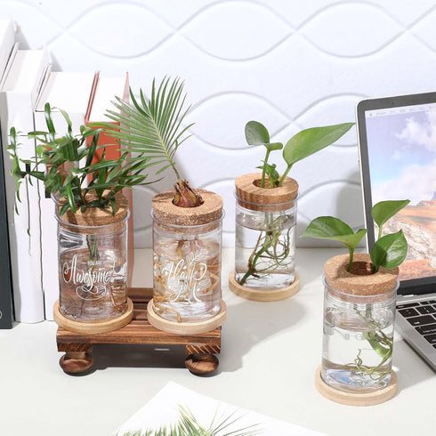 12 Packs Set Baderke Plastic Plant Propagation Vase Thank You Gift Desktop Plastic Planter Vase with Bamboo Stand