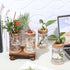 12 Packs Set Baderke Plastic Plant Propagation Vase Thank You Gift Desktop Plastic Planter Vase with Bamboo Stand