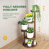 4 Tier Tall Plant Stand Indoor, Wood Corner Plant Shelf for Multiple Plants, Sturdy Oval Tiered Flower Pot Holder