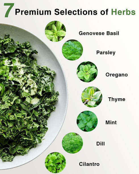 (12-Pod) Gourmet Herbs Seed Pod Kit for AeroGarden, iDoo, Ahopegarden, MUFGA with Basil, Parsley, Thyme, Mint