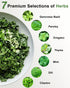 (12-Pod) Gourmet Herbs Seed Pod Kit for AeroGarden, iDoo, Ahopegarden, MUFGA with Basil, Parsley, Thyme, Mint