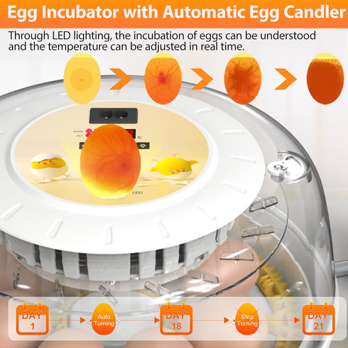 8 Egg Incubators for Hatching Eggs with Automatic Egg Turner, Incubator for Chicken Eggs with Egg Candler for Chicken