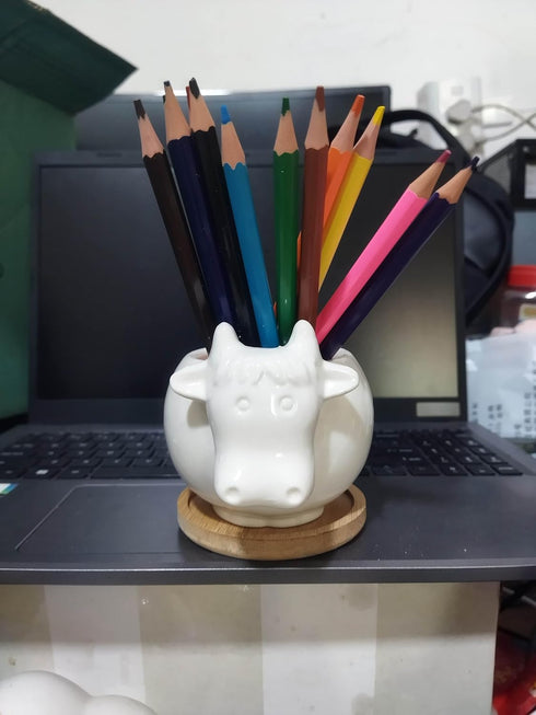 Cuteforyou Cute Cartoon Succulent Pots, Ceramic Cactus Flower Pot, Desk Accessories, Makeup Brush Storage (White Cow)