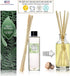Urban Naturals Cucumber Sea Salt Reed Diffuser Oil Refill Kit - Fresh Room Scent with Replacement Reed Sticks