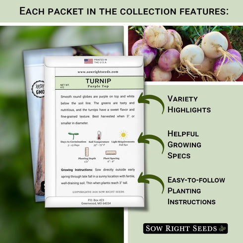 Packets Sow Right Seeds - Root Vegetable Collection for Planting - Individual of Beet, Carrot, Kohlrabi, Radish