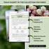 Packets Sow Right Seeds - Root Vegetable Collection for Planting - Individual of Beet, Carrot, Kohlrabi, Radish