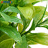 OFFIDIX Mini Plastic Artificial Eucalyptus Leaves, Faux Plant with Pots for Home and Office Decor