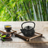 Luxshiny Cast Iron Teapot - Mini Iron Teapot, Chinese Kung Fu Teapot for Office, Home, Tea House, Stove Kettle, Chinese