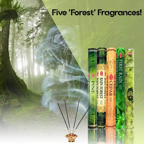 Hem Incense Forest Cedar Pine Rain Forest First Rain, 5 x 20, 100 Sticks