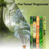 Hem Incense Forest Cedar Pine Rain Forest First Rain, 5 x 20, 100 Sticks