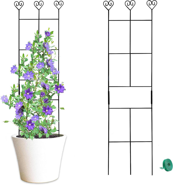 Hensal 2 Pack 30'' Plant Trellis for Climbing Plants Indoors, Metal Garden Trellis
