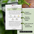 Packet (1) Sow Right Seeds - Parisian Carrot Seed for Planting - Gourmet Round Delicacy - Non-GMO Heirloom
