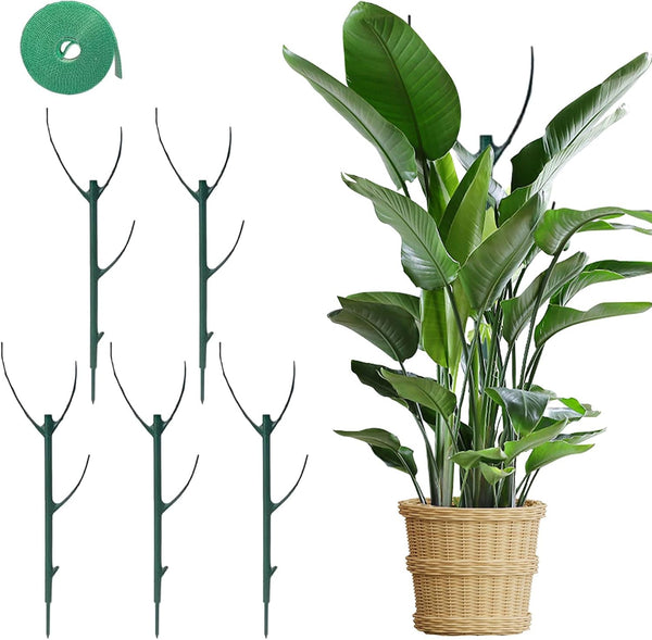 5 Pack Stackable Monstera Plant Support, 2025 New Plant Stakes for Indoor