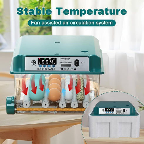 16 CoInceptus Eggs Incubators for Hatching Eggs, Egg Incubator with Automatic Egg Turning and Temperature Control