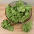 DinQ 10 Pieces Fake Lettuce Leaves Artificial Green Vegetables Plastic Realistic Salad for Holiday Home Kitchen Cabinet