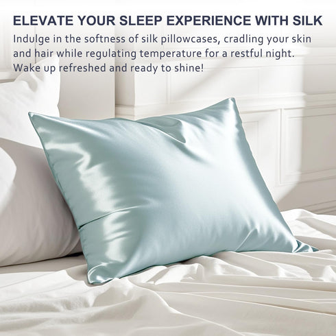 Ravmix 21momme Mulberry Silk Pillow Cases with Zipper, Soft Cool Pillow Cover for Beauty Sleep, 1PC(Queen 20"x30", Aqua