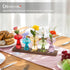 Glasseam Mushroom Plant Propagation Station: Cute Glass Terrarium Jar with Wooden Stand Unqiue Planters for Indoor
