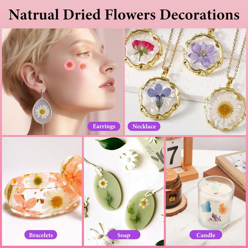 420 NESCCI Pcs Dried Pressed Flowers for Resin,Real Nature Dried Flowers for Crafts Bulk Dry Flowers Leaves Kit Used